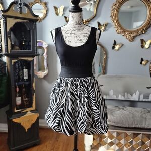 What's Hot Zebra Print Balletcore Dress Medium